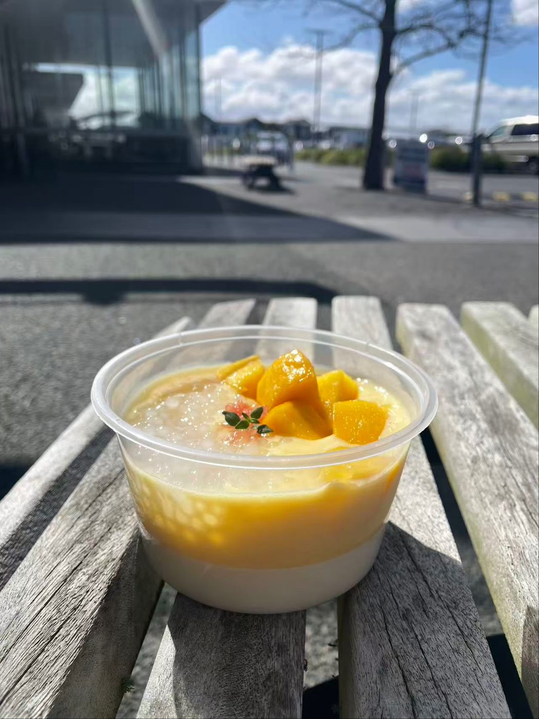 Creamy dessert cup with fruit topping